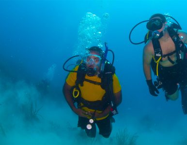 PADI Courses