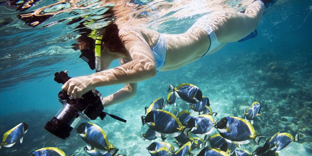 Night Diving Equipment